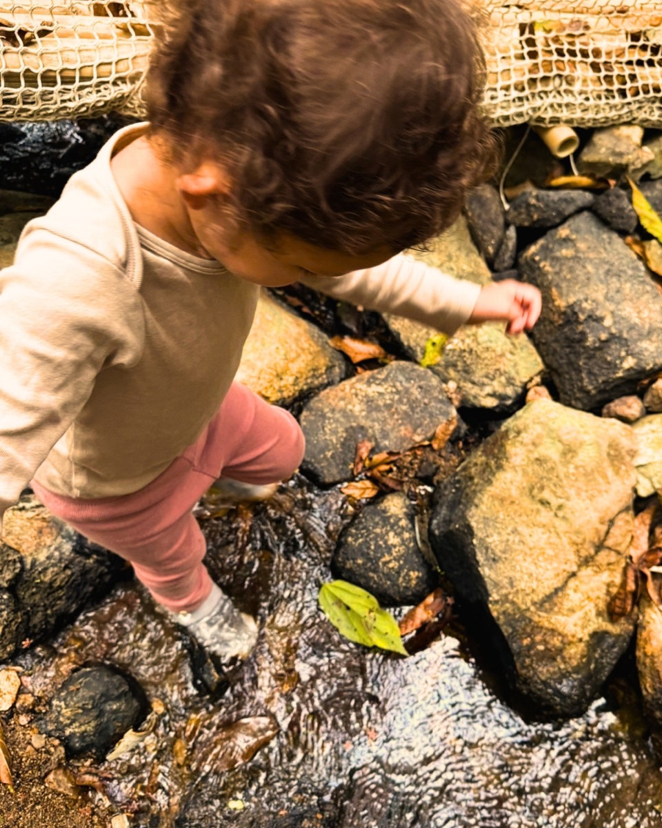 A toddler stepping between rocks in a shallow stream