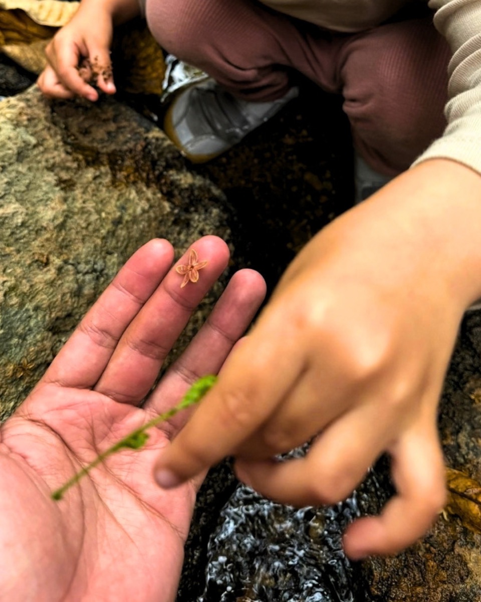 A tiny dried flower resting on an adult's fingertip while a child points at it